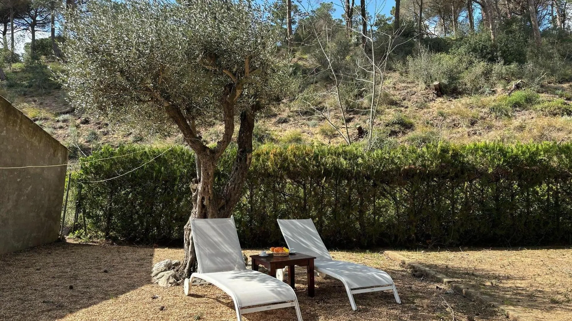 Casa Con Gran Jardin Privado Y Piscina Comunitaria En Torroella De Montgri - Es-323-44 Villa L'Estartit Spain